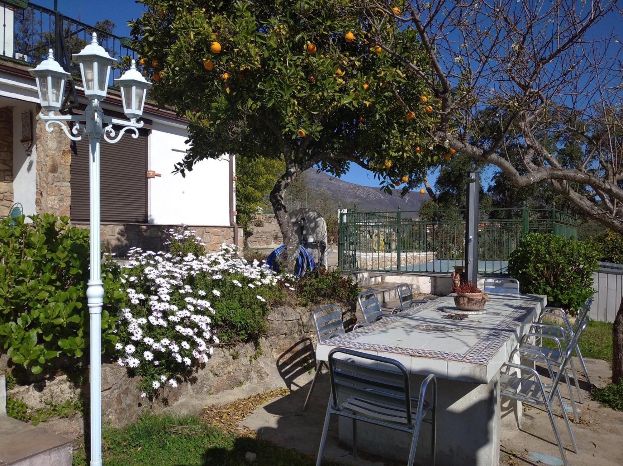 Casa Rural El Mirador De Acebo, 4 Estrellas, Piscina, Spa エクステリア 写真